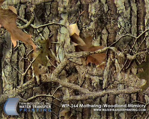 WTP-264 Mothwing - Woodland Mimicry